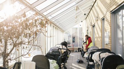 Barnvagnar står parkerade i två rader inne i ett växthus. En vuxen står ibland dem och solen skiner in från sidan.